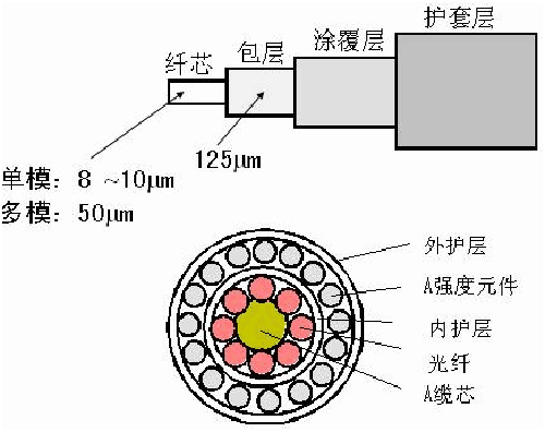 光學波導傳感器架構組成圖